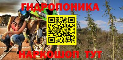 ГАЛЛЮЦИНОГЕННЫЕ ГРИБЫ Сланцы