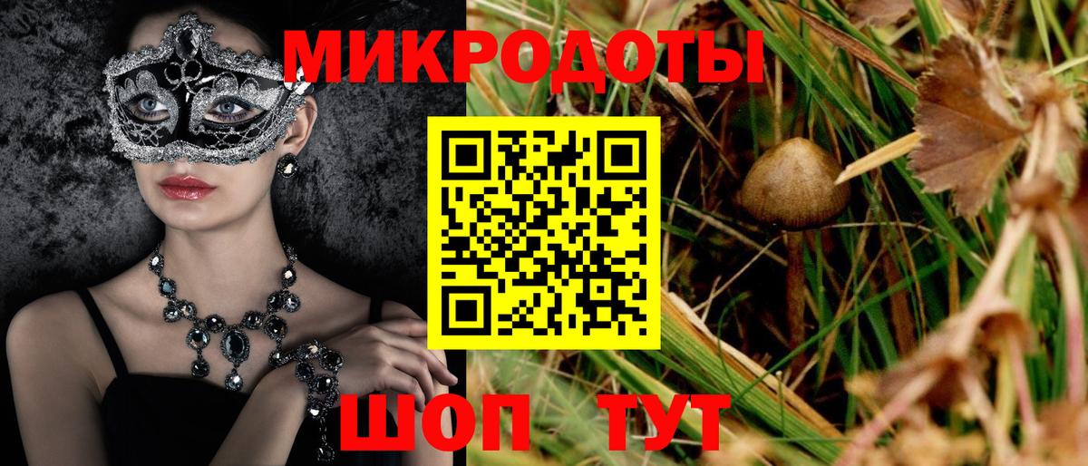 Псилоцибиновые грибы Cubensis Красноперекопск